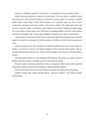 Kompiuterinis projektavimas 13 puslapis