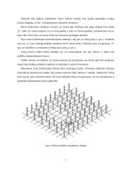 Kompiuterinis projektavimas 5 puslapis