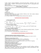 Keleivinio lifto mechaninė pavara 5 puslapis