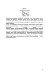 Medienos drožlių plokščių gamybos cechas 2 puslapis