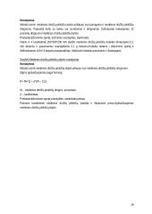 Medienos drožlių plokščių gamybos cechas 16 puslapis