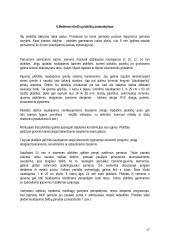 Medienos drožlių plokščių gamybos cechas 17 puslapis