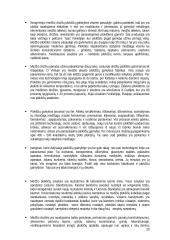 Medienos drožlių plokščių gamybos cechas 20 puslapis