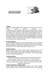 Medienos drožlių plokščių gamybos cechas 5 puslapis