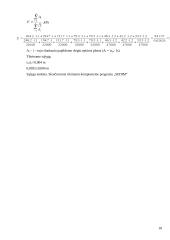 Pamato projektavimas 17 puslapis