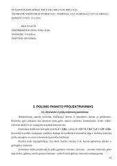 Pamato projektavimas 19 puslapis