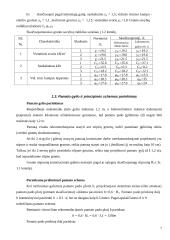 Pamato projektavimas 6 puslapis