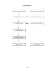 Pamatų blokų gamybos technologija 12 puslapis