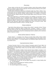 Pamatų blokų gamybos technologija 13 puslapis