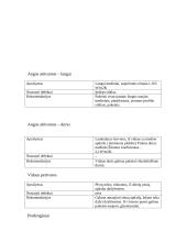Pastato rekonstravimo techninis ekonominis pagrindimas 5 puslapis