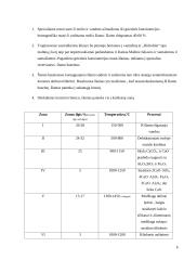 Portlandcemento gamyba 2 puslapis