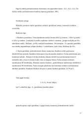 Portlandcemento gamyba 13 puslapis