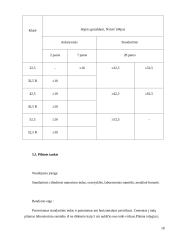 Portlandcemento gamyba 14 puslapis