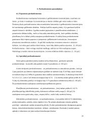 Portlandcemento gamyba 16 puslapis