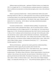 Portlandcemento gamyba 17 puslapis