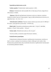 Portlandcemento gamyba 20 puslapis