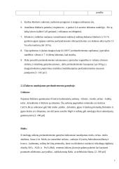 Portlandcemento gamyba 3 puslapis