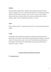 Portlandcemento gamyba 4 puslapis