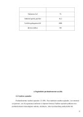 Portlandcemento gamyba 7 puslapis