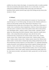 Portlandcemento gamyba 8 puslapis