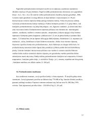 Portlandcemento gamyba 9 puslapis