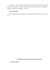 Portlandcemento gamyba 10 puslapis