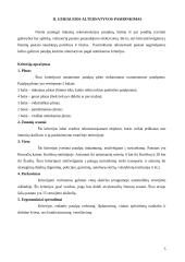 Romučių pagrindinės mokyklos rekonstrukcija 5 puslapis