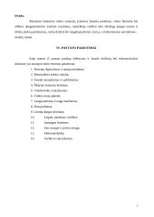 Romučių pagrindinės mokyklos rekonstrukcija 7 puslapis