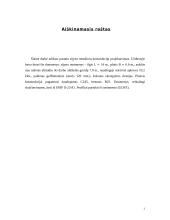 Sijyno metalinių konstrukcijų projektavimas 2 puslapis