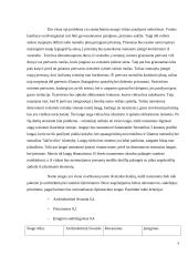 Sodo namo rekonstrukcija į gyvenamą namą s/b "Riešė" 4 puslapis