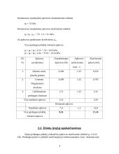 Statybinių konstrukcijų skaičiavimo pagrindai 4 puslapis