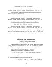 Statybinių konstrukcijų skaičiavimo pagrindai 10 puslapis