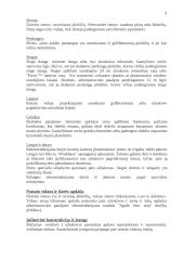 Gamybinio pastato statybos organizavimas 2 puslapis