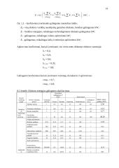 Gamybinio pastato statybos organizavimas 13 puslapis