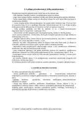 Gamybinio pastato statybos organizavimas 8 puslapis