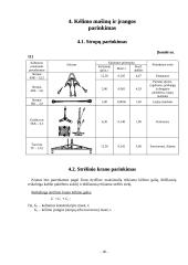 Pastatų statybos technologijos 19 puslapis