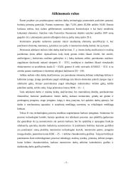 Pastatų statybos technologijos 3 puslapis