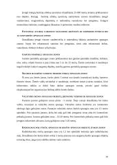 Projektavimo statybos teisė  10 puslapis