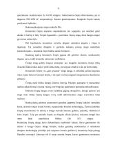 Stogo dangos tipai 11 puslapis