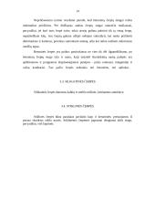 Stogo dangos tipai 14 puslapis