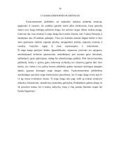 Stogo dangos tipai 16 puslapis