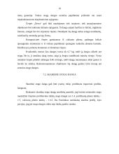 Stogo dangos tipai 19 puslapis