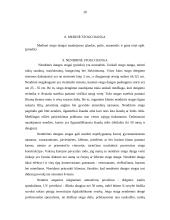 Stogo dangos tipai 20 puslapis