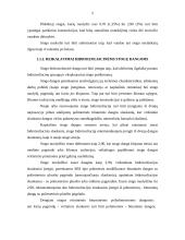 Stogo dangos tipai 5 puslapis