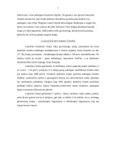 Stogo dangos tipai 7 puslapis