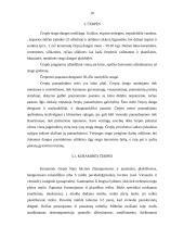 Stogo dangos tipai 10 puslapis