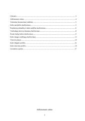 Vietinis kelias 2 puslapis