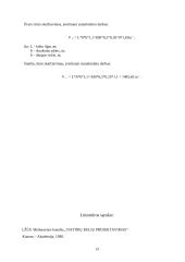 Vietinis kelias 12 puslapis