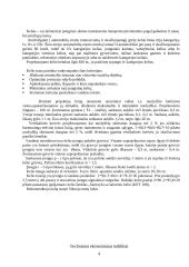 Vietinis kelias 3 puslapis