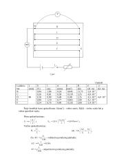 3 fizikos laboratoriniai darbai 2 puslapis